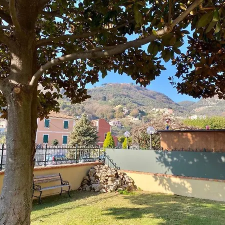 Cicala * Finale Ligure